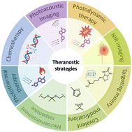 Graphical abstract: Small molecules and conjugates as theranostic agents