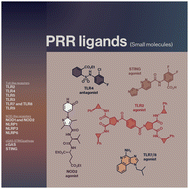 Graphical abstract: Small molecule modulators of immune pattern recognition receptors