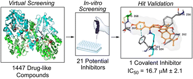 Graphical abstract: Virtual screening, identification and in vitro validation of small molecule GDP-mannose dehydrogenase inhibitors