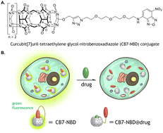 Graphical abstract: Binding affinity-based intracellular drug detection enabled by a unimolecular cucurbit[7]uril-dye conjugate