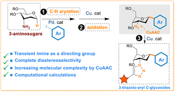 Graphical abstract: Transient imine as a directing group for the Pd-catalyzed anomeric C(sp3)–H arylation of 3-aminosugars