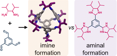 Graphical abstract: Competitive aminal formation during the synthesis of a highly soluble, isopropyl-decorated imine porous organic cage