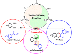 Graphical abstract: DMSO/tBuONa/O2-mediated efficient syntheses of diverse quinoxalines through α-imino radicals