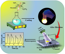 Graphical abstract: Air stable highly luminescent 2D tin halide perovskite nanocrystals as photodetectors