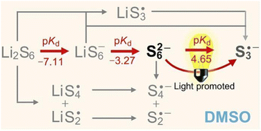 Graphical abstract: Unveiling light effect on formation of trisulfur radicals in lithium–sulfur batteries