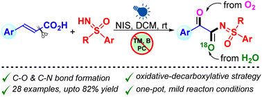 Graphical abstract: NIS-initiated photo-induced oxidative decarboxylative sulfoximidation of cinnamic acids