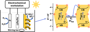 Graphical abstract: Photoelectrochemistry hydrogen production based on a Pt nanowires-bridged CdS nanorods array of piezoelectricity-triggered Z-scheme junctions