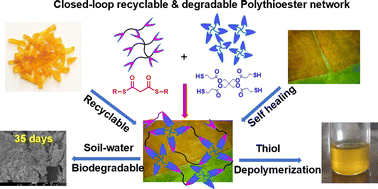Graphical abstract: Closed-loop recyclable and biodegradable thioester-based covalent adaptable networks