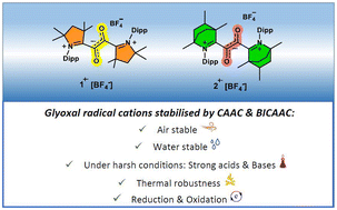 Graphical abstract: Cyclic(alkyl)(amino)carbene (CAAC)- and bicyclic (alkyl)(amino)carbene (BICAAC)-derived glyoxal radical cations with excellent stability