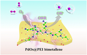 Graphical abstract: Polyethyleneimine-functionalized PdOs bimetallene for enhanced oxygen reduction
