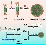 Graphical abstract: Supramolecular nanoprodrug based on a chloride channel blocker and glycosylated pillar[5]arenes for targeted chemoresistance cancer therapy