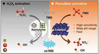 Graphical abstract: A nanozyme-like colorimetric sensing strategy based on persulfate activation on Co-based metal–organic frameworks