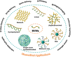 Graphical abstract: (Controlled) Free radical (co)polymerization of multivinyl monomers: strategies, topological structures and biomedical applications