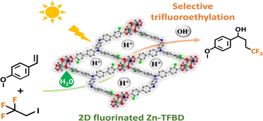 Graphical abstract: Integrating a fluorinated photoactive chromophore into metal–organic frameworks for selective trifluoroethylation of styrenes