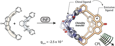 Graphical abstract: Modular enhancement of circularly polarized luminescence in Pd2A2B2 heteroleptic cages