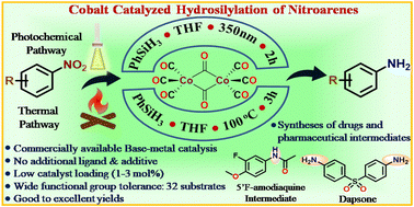 Graphical abstract: Cobalt catalyzed chemoselective reduction of nitroarenes: hydrosilylation under thermal and photochemical reaction conditions