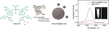 Graphical abstract: Maximal emission beyond 1200 nm dicyanovinyl-functionalized squaraine for in vivo vascular imaging