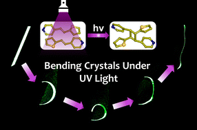 Graphical abstract: Light-driven flagella-like motion of coordination compound single crystals