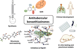 Graphical abstract: Synthesis, structures, reactivity and medicinal chemistry of antitubercular benzothiazinones
