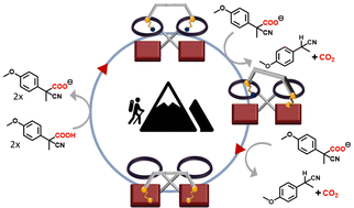 Graphical abstract: Fast and slow walking driven by chemical fuel