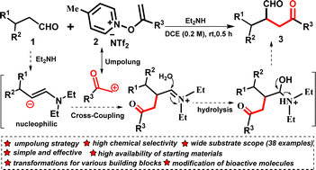 Graphical abstract: An umpolung strategy for chemically selective intermolecular cross-enolate-type coupling of N-alkenoxypyridinium salts with aldehydes