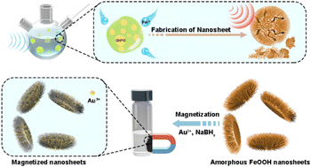 Graphical abstract: Magnetization of amorphous FeOOH chrysanthemum-like nanosheets under ambient conditions