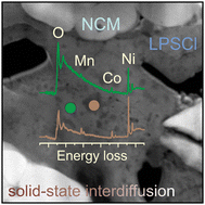 Graphical abstract: Transition-metal interdiffusion and solid electrolyte poisoning in all-solid-state batteries revealed by cryo-TEM