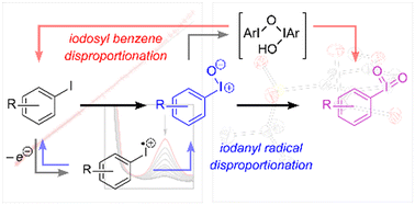 Graphical abstract: Selective multi-electron aggregation at a hypervalent iodine center by sequential disproportionation