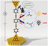 Graphical abstract: Regulating the molecule and electrode interface of a single-molecule junction via the side chain