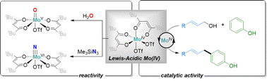 Graphical abstract: Molybdenum(iv) β-diketonate complexes as highly active catalysts for allylic substitution reactions