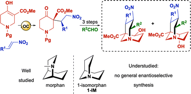 Graphical abstract: Stereoselective synthesis of highly substituted 1-isomorphans (1-azabicyclo[3.3.1]nonanes)