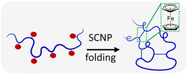Graphical abstract: Ferrocene-driven single-chain polymer compaction