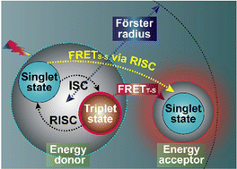 Graphical abstract: Förster resonance energy transfer involving the triplet state