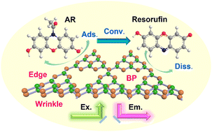Graphical abstract: Quantitative single-molecule study reveals site-specific photo-oxidation activities and kinetics on 2D g-C3N4