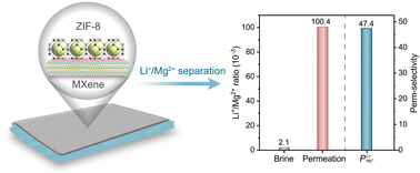 Graphical abstract: Construction of a hierarchical membrane with angstrom-scale ion channels for enhanced Li+/Mg2+ separation