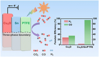 Graphical abstract: Hydrophobic surface efficiently boosting Cu2O nanowires photoelectrochemical CO2 reduction activity