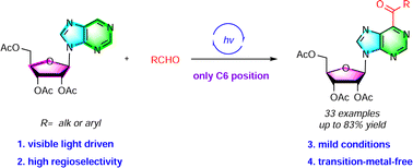 Graphical abstract: Photocatalyst-free visible-light-induced highly selective acylation of purine nucleosides at the C6 position