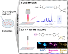 Graphical abstract: Synthesis, characterisation and multi-modal intracellular mapping of cisplatin nano-conjugates