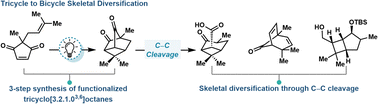 Graphical abstract: Skeletal diversification by C–C cleavage to access bicyclic frameworks from a common tricyclooctane intermediate