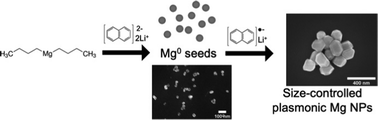 Graphical abstract: Seed-mediated synthesis of monodisperse plasmonic magnesium nanoparticles