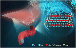 Graphical abstract: A bean sprout-like cobalt selenium phosphorus nanosheet-composed anode toward fast and high sodium-ion storage