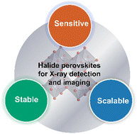 Graphical abstract: Halide perovskites for sensitive, stable and scalable X-ray detection and imaging