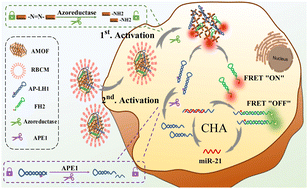 Graphical abstract: An azoreductase activatable, endonuclease-gated nanodevice for spatiotemporal amplification imaging of microRNA-21 in hypoxic tumor cells