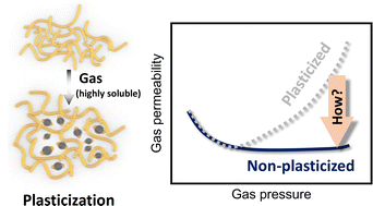 Graphical abstract: Covalent and non-covalent approaches to suppress plasticization of polymer membranes for gas separation