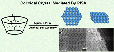 Graphical abstract: Colloidal crystals of monodisperse fluoro-nanoparticles by aqueous polymerization-induced self-assembly