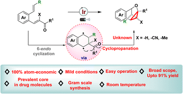 Graphical abstract: Visible-light-induced oxidant/additive-free atom-economic synthesis of multifunctionalized cyclopropanes via energy transfer
