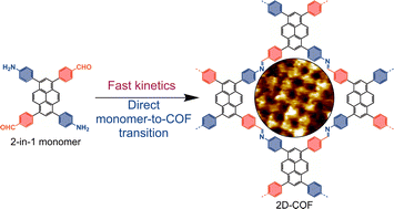 Graphical abstract: On the nucleation and fast reaction kinetics of 2D polymerisation with a 2-in-1 monomer