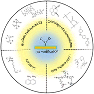 Graphical abstract: Organic-moiety-engineering on copper surface for carbon dioxide reduction