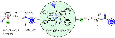 Graphical abstract: Visible light/copper catalysis enabled alkylation of silyl enol ethers with arylsulfonium salts