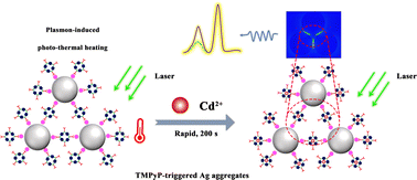 Graphical abstract: A porphyrin-based ratiometric SERS sensor for high-throughput and ultrasensitive cadmium ion detection